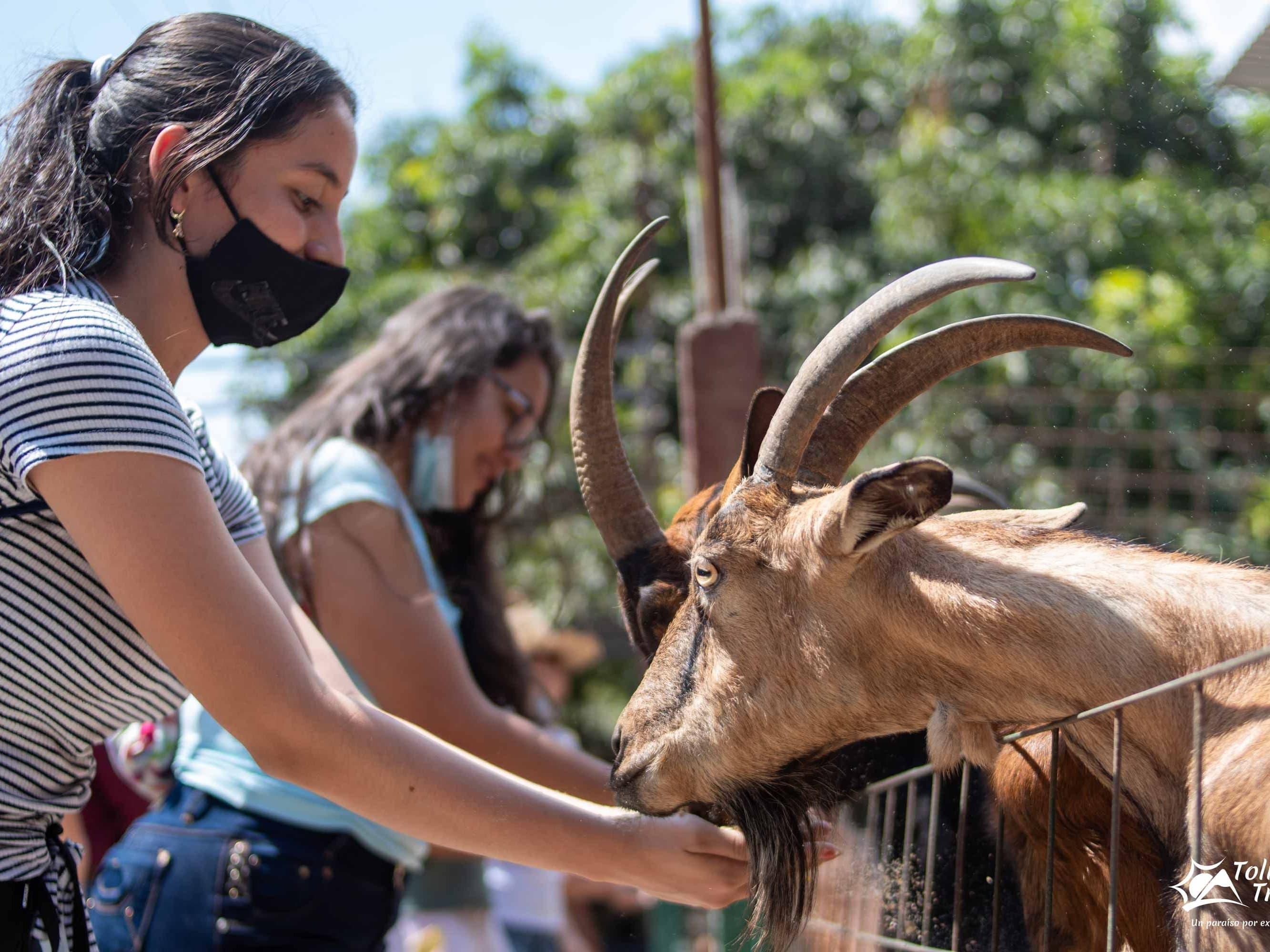 Granja Interactiva Villa Cabras