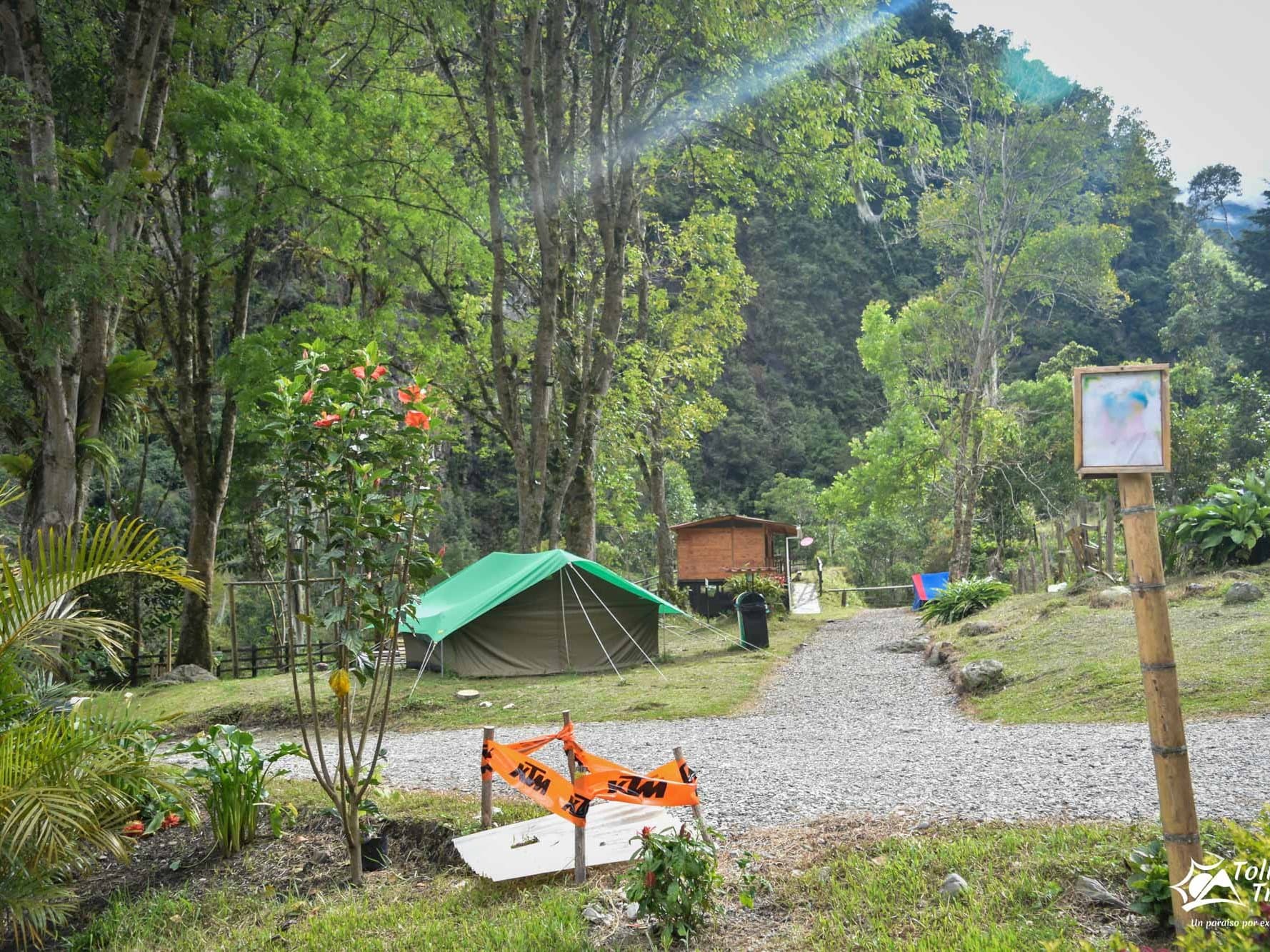 Restaurante Bar Casa Pinares