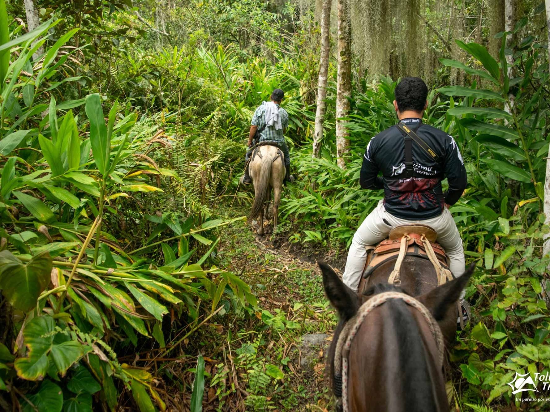 Restaurante Bar Casa Pinares
