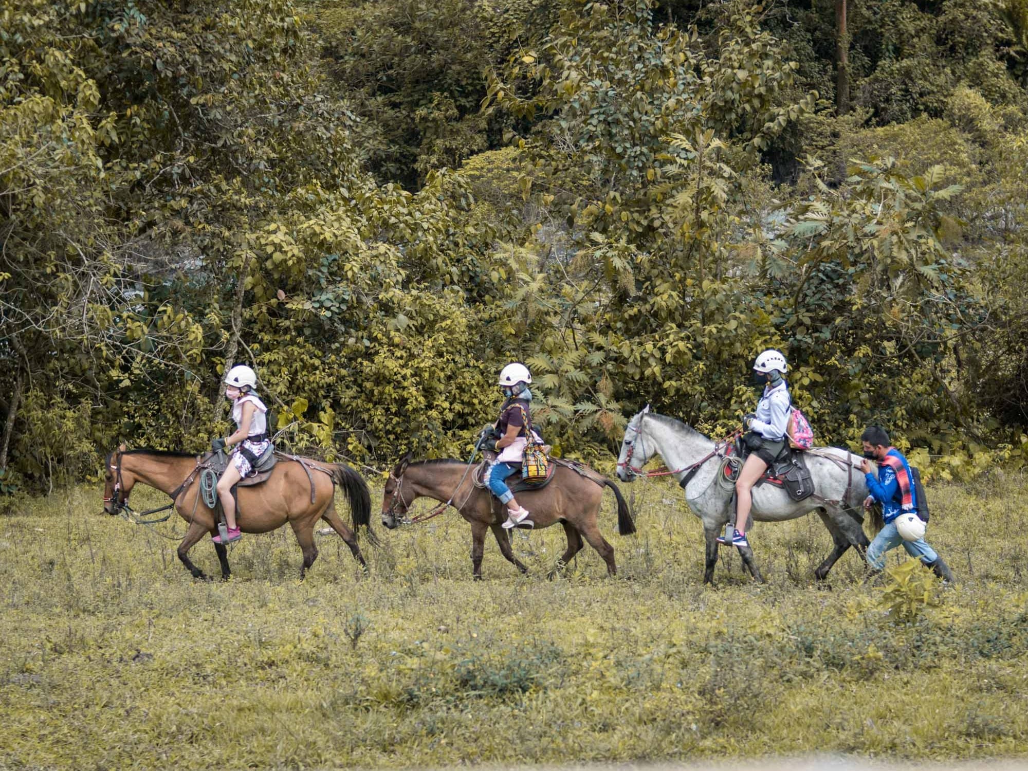 Parque Ecoturístico y extremo Yaguaré
