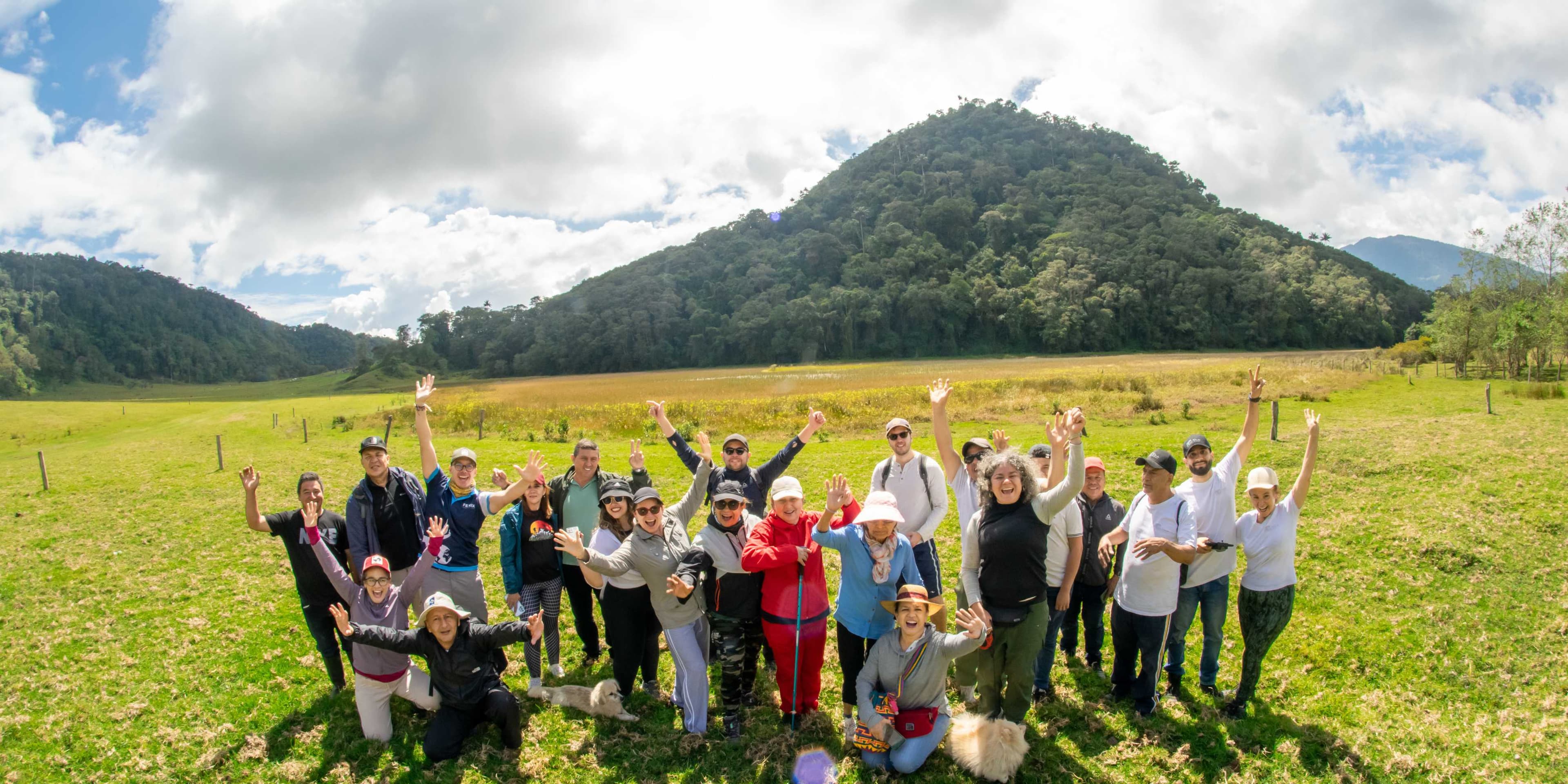 Bosque de Palma de Cera y Termales en Toche