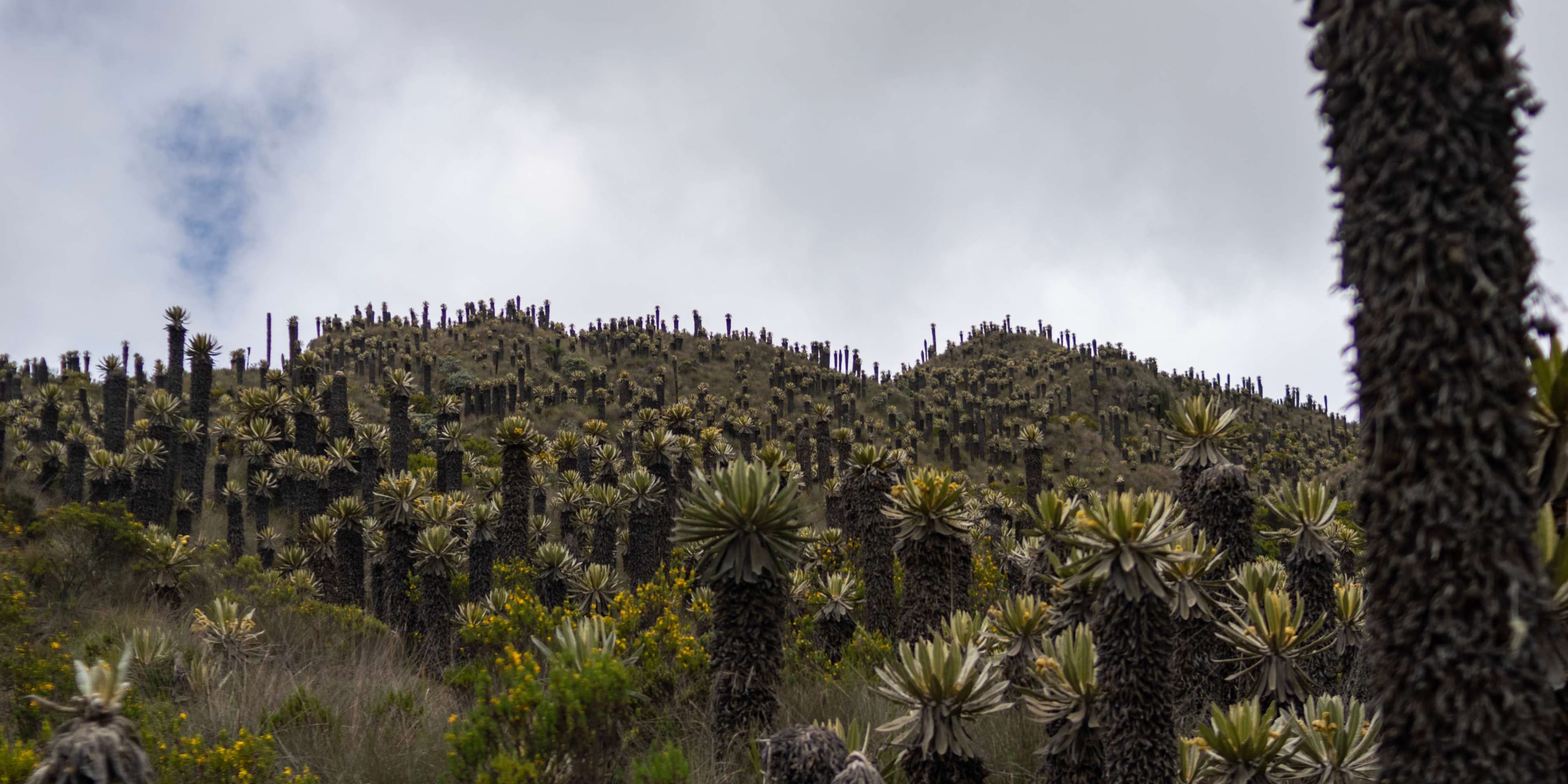 2 días en el pueblo más colorido del Tolima: Murillo