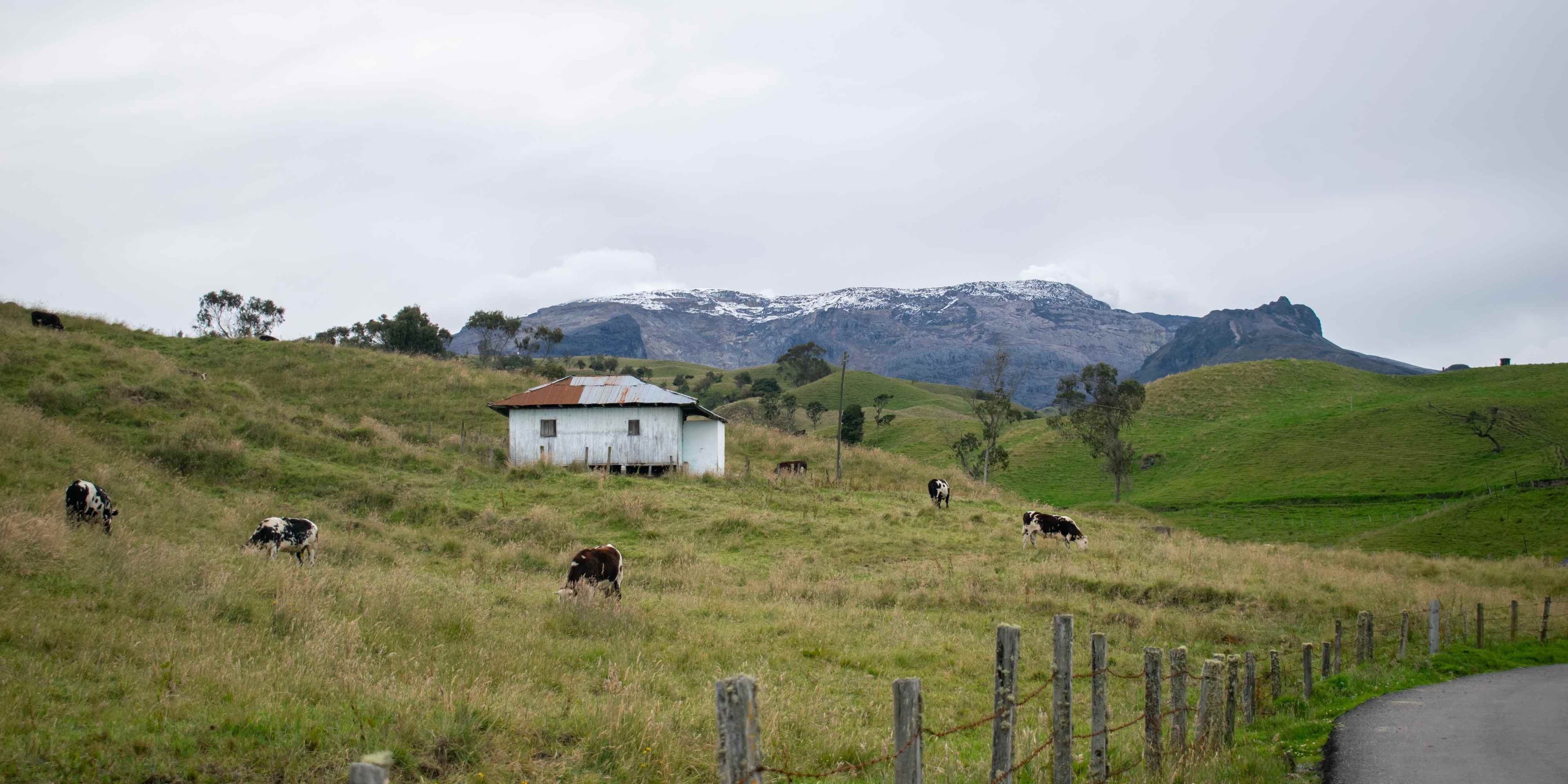 Murillo y Nevado del Ruiz