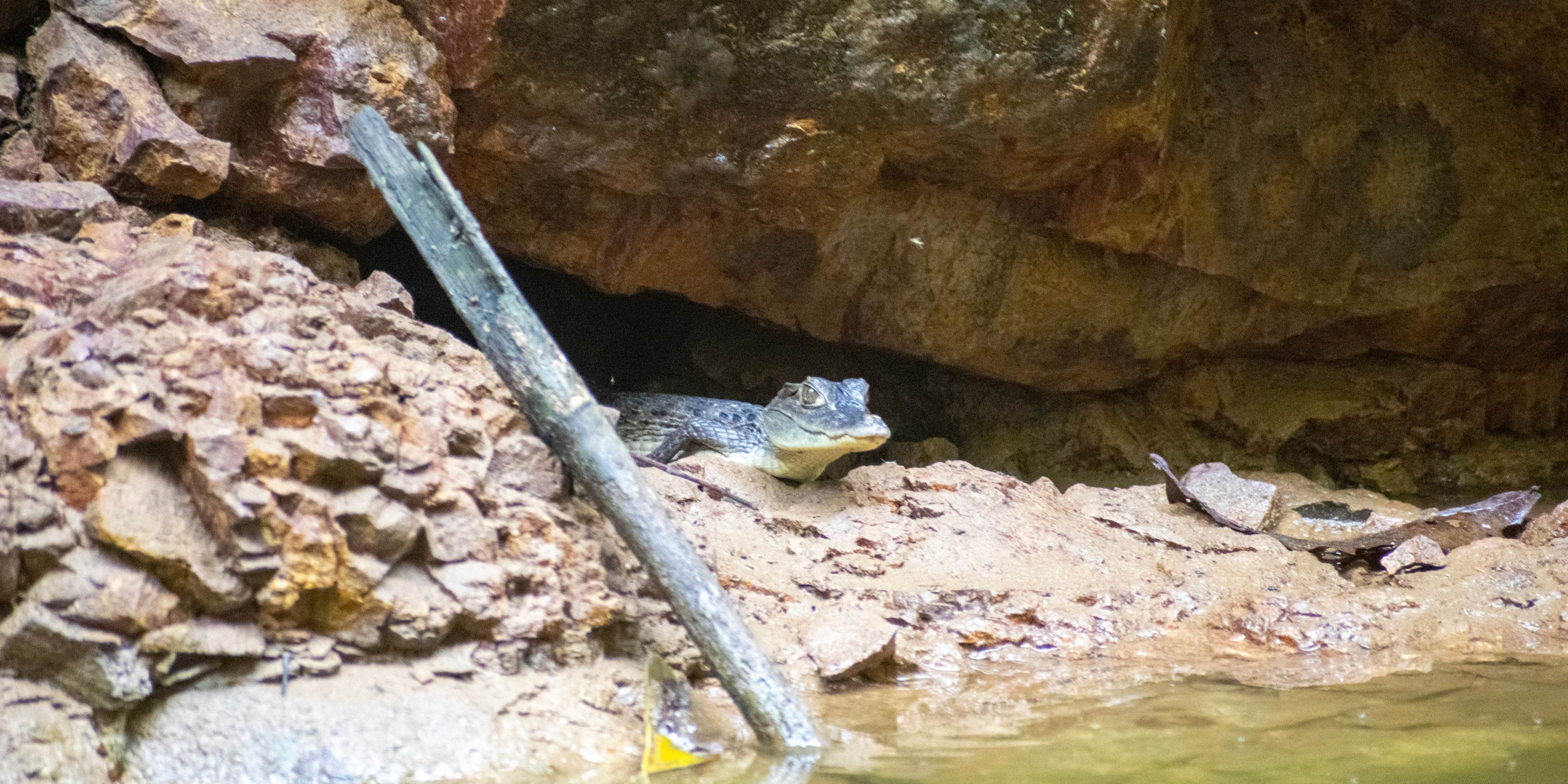 Navegando por la Represa de Prado