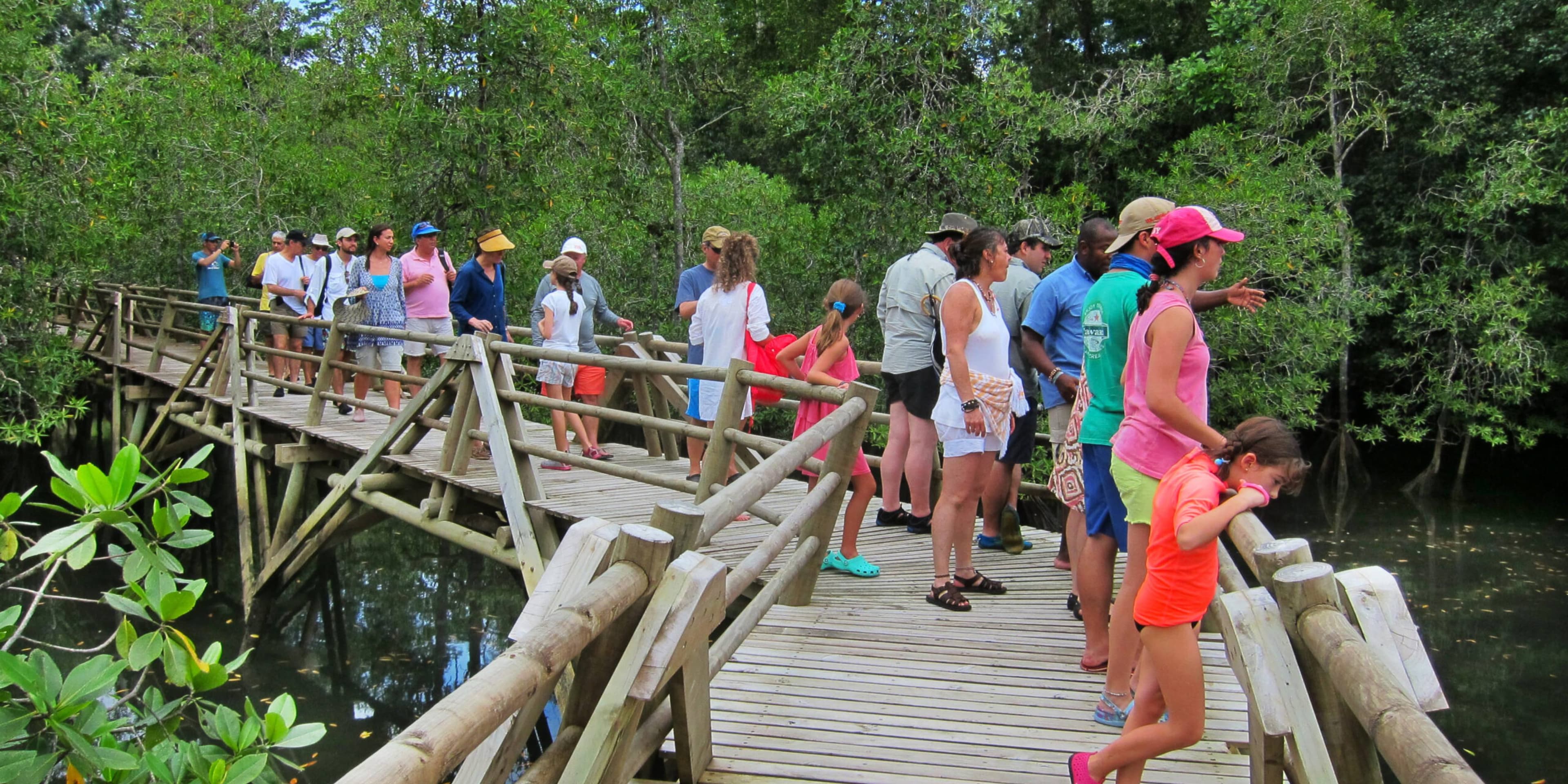 Pacifico, avistamiento de ballenas