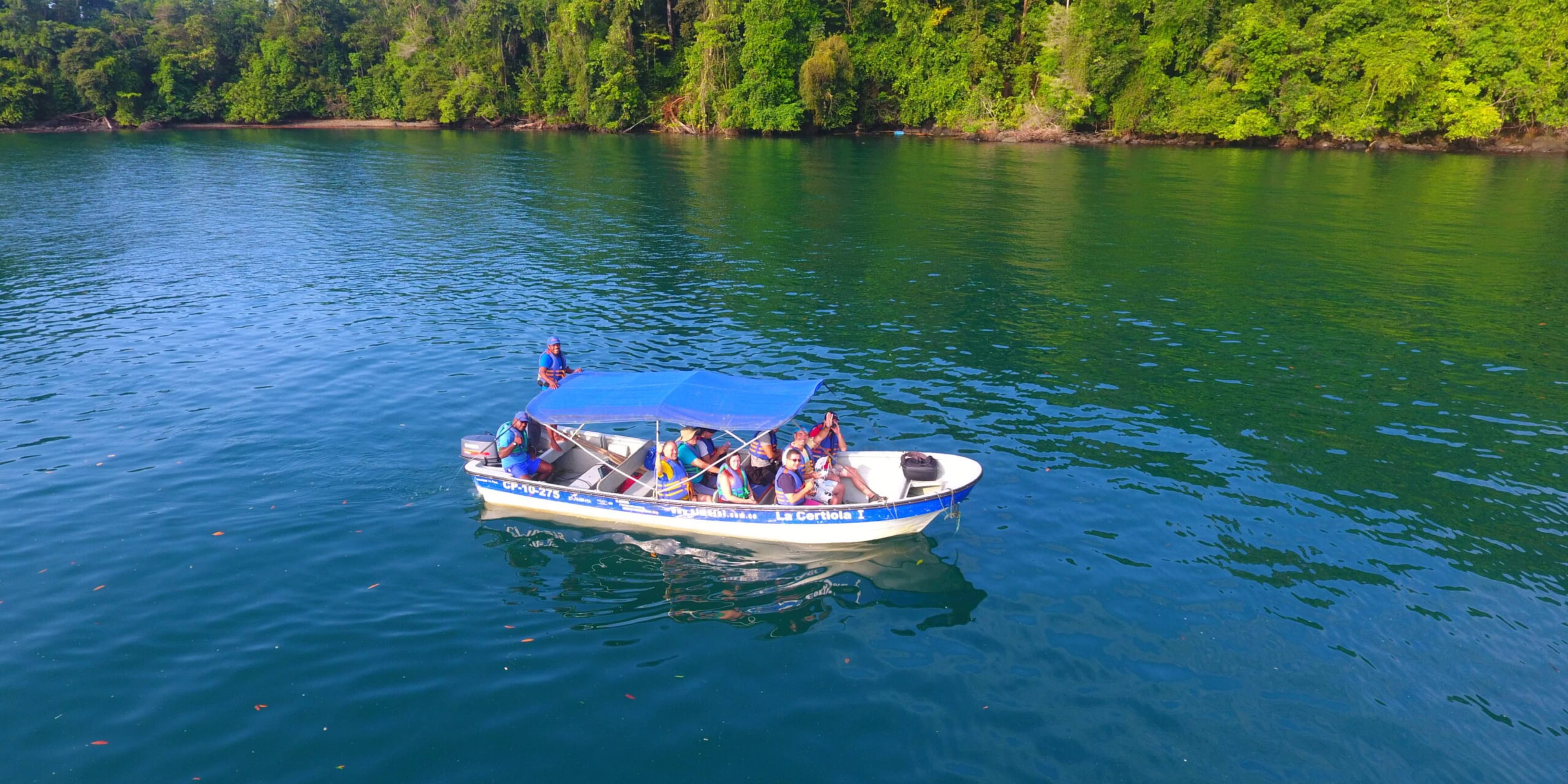 Pacifico, avistamiento de ballenas