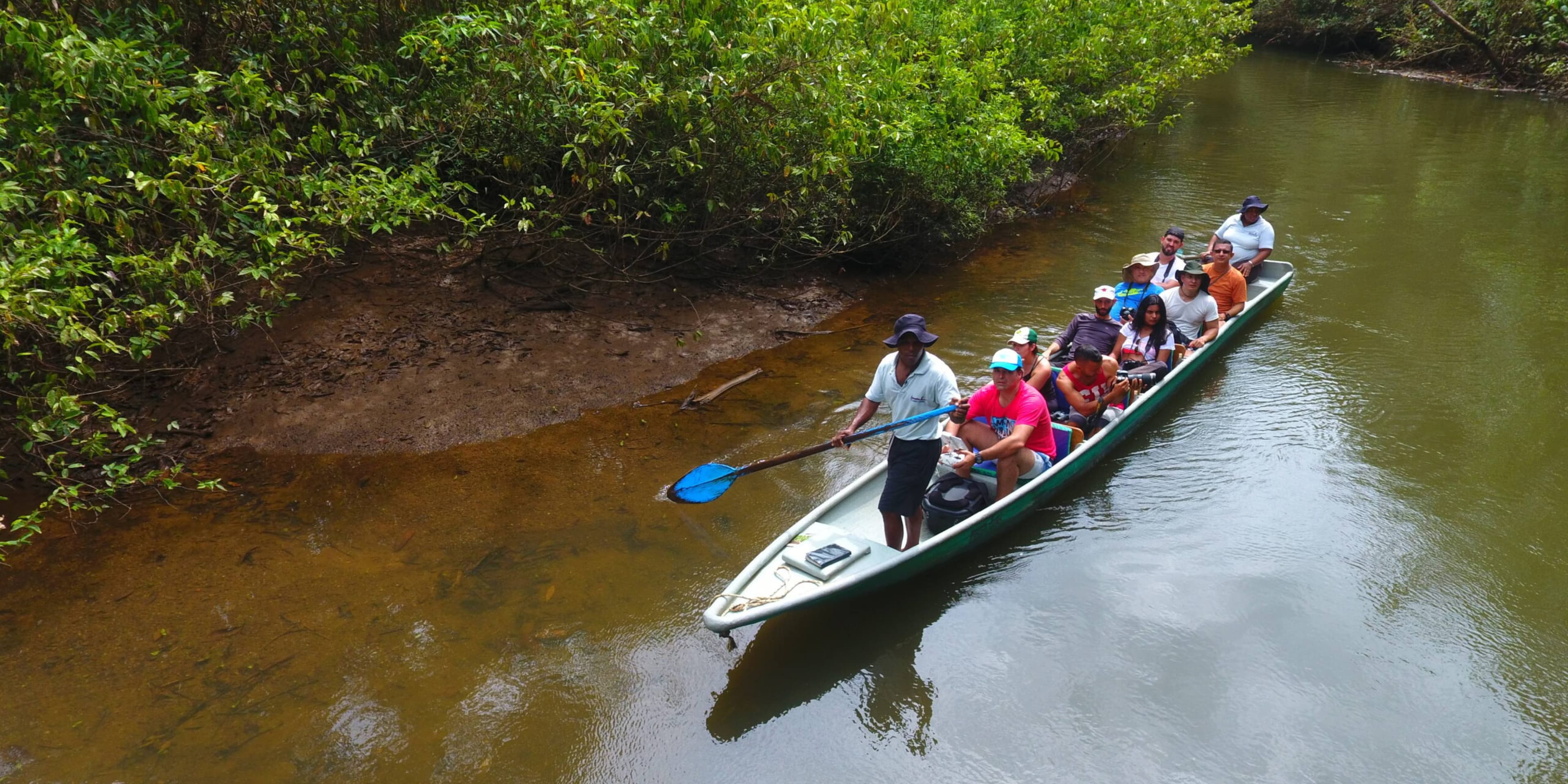 Pacifico, avistamiento de ballenas