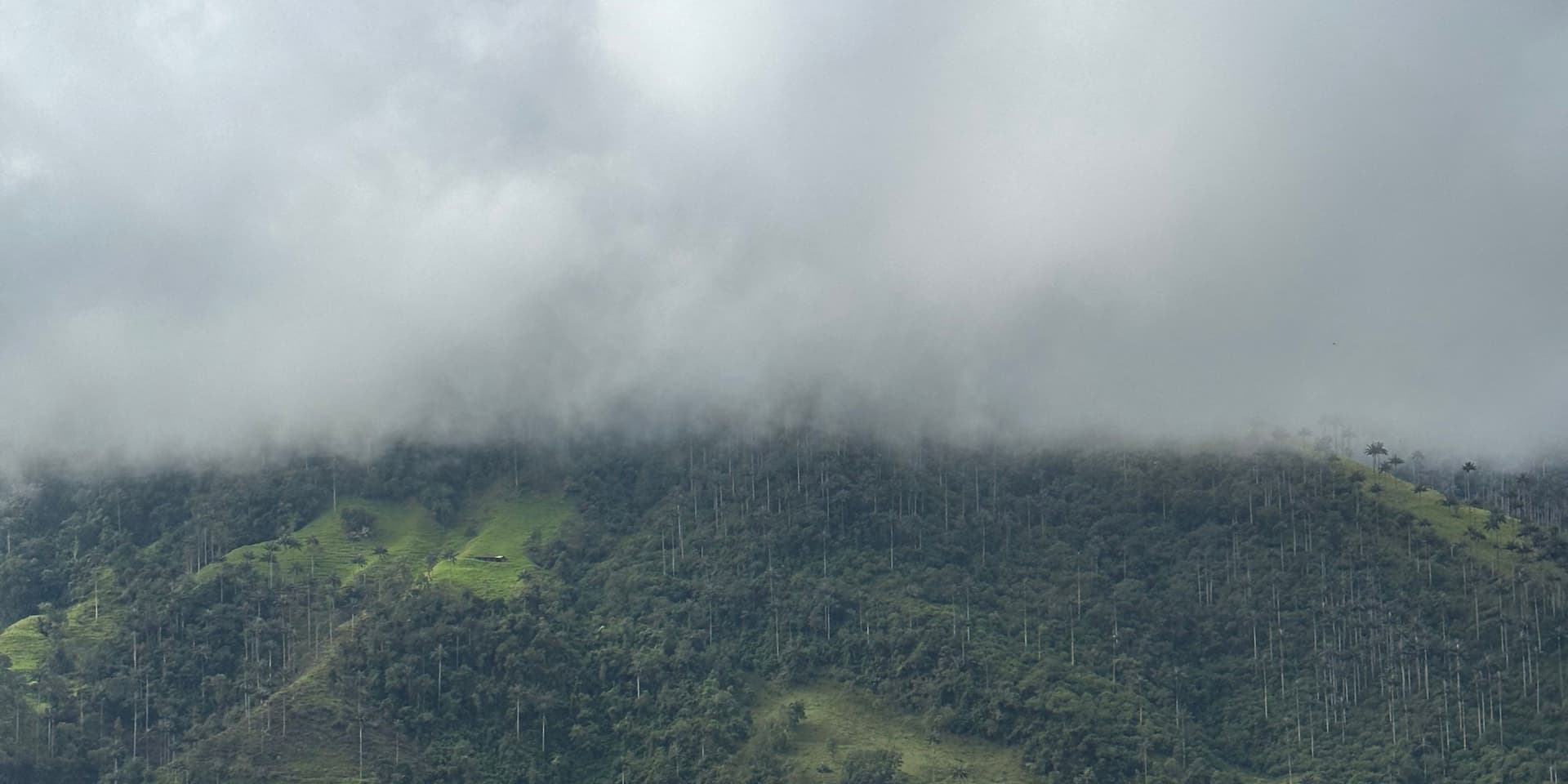 2 días en Toche y en los Gigantes de Colombia