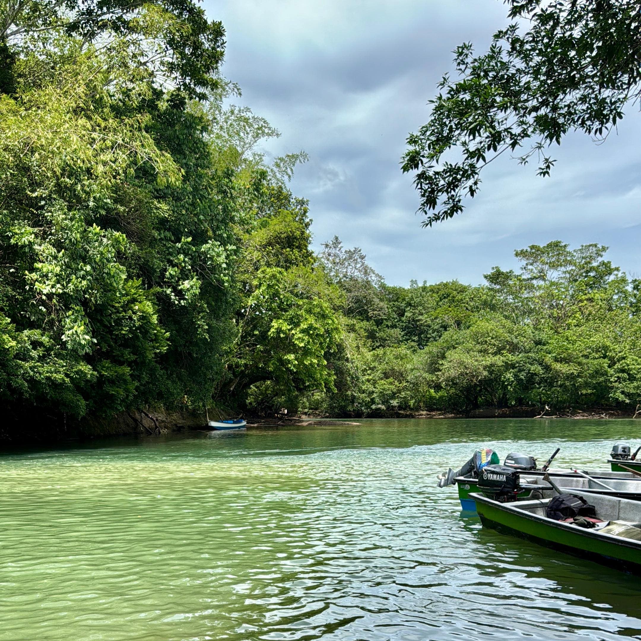 Norcasia y Río La Miel