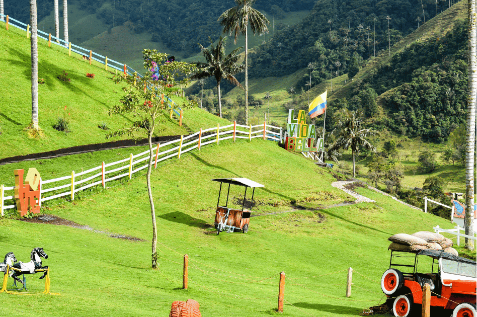 Tres destinos: Salento, Valle de Cocora y Filandia.